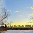 금 성 Daum카페