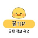 정원어린이집 네이버블로그
