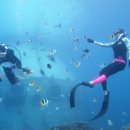 마린수중 이미지