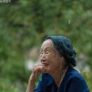 효성조경개발 화이트페이퍼