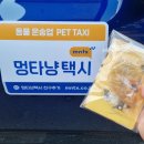 멍타냥 이미지