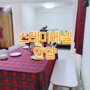 스테이에셀 이미지