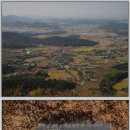 건국우유대리점 이미지
