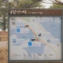 송지호 자전거대여소 이미지