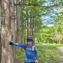 입면 약천리 마을회관 | 곡성 동악산 입면 임도와 섬진강자전거길 개척라이딩 46km