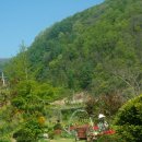 녹수와 청산의 집 이미지