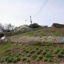 대지-걷기 이미지