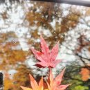 씻자진주점 이미지