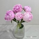 사라로사 | 화병에 꽂아두기만 해도 집 분위기 확 달라지는 미르보나 사라작약 생화택배 후기