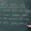 아이돌루시 | 하룰라라 갔다옴. 루시콘서트 갔다옴. [루시드라인 선콘 중콘 후기]