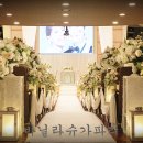 바닐라슈가 이미지