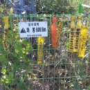 매봉휴게소 이미지