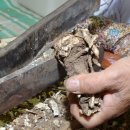 민중한의원 이미지