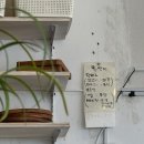 성환-15 | 천안 오므라이스 맛집, 성환 상야식당 주말 토요일 오픈런