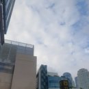 시티약국 | 센텀시티역 약국 추천 | 구내염연고 페리덱스 내돈내산 후기