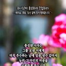 핸드폰 배경화면&잠금화면_20230611_잠언 25장 13절_하나님께 충성하여 민첩하라_오순절 후 두 번째 주일 묵상_제라늄_꽃말 '당 이미지