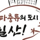 알비유통