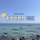 어울림민박 - 태안군 | [공지] 주말에 뭐하지? 혼자라서 더 좋은 혼행갈래!☝️