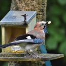 명진부동산중개 이미지