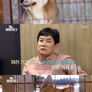 이경규농장 이미지