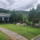 거슬러 오른집 이미지