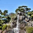 일출랜드 네이버블로그