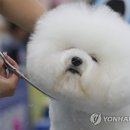예뻐지는중 이미지