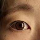 안경명가동구1호점 위드렌즈 네이버블로그