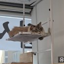 집사의화실 이미지