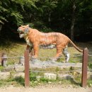 수다라성보박물관 이미지