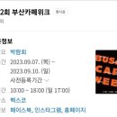 부산 카페위크 후기(23.9.10)