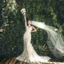 더바오컴퍼니 이미지