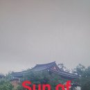 Sun of Jamaica 이미지