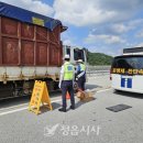 정읍경찰서 이미지
