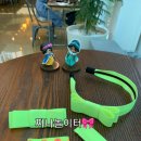 찌나놀이터