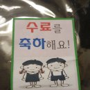 숭례병설유치원 이미지