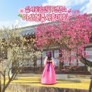 (주)아산중앙모터스 | 서울근교 꽃구경 가볼만한곳 천안 아산 현충사 홍매화 명소