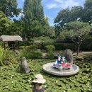 도인1길(임실치즈테마파크진입로) | 아기랑 전주 근교 여행2 (남원 광한루 / 남원 카페 모정/ 임실치즈테마파크/ 화락당/ 남원다움체험관 )