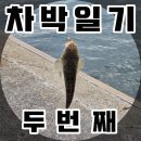 문동여자경로당 | 차박일기 #2 ::: 문동방파제 차박, 어신낚시 구경, 이동방파제 낚시, 첫 양태 낚시