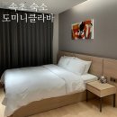 도미니클라바 이미지