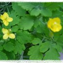 도천어린이집 이미지