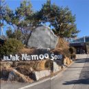 자작나무숲펜션 | 청계호수 자작나무숲 펜션 풀빌라 C동 1층 아기랑 포천 풀빌라 추천