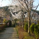 로뎀하우스 이미지