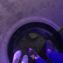 스시7017 이미지