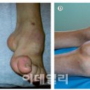 영바이오텍 이미지