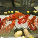 하버드식당 이미지