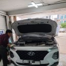 여시카센타 이미지