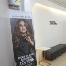 홈플러스목동2점