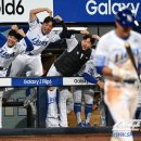 라이언스 하트 이미지