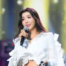 두리 티브이데일리